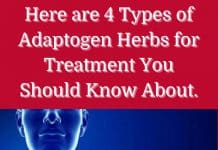 Here are 4 Types of Adaptogen Herbs for Treatment You Should Know About.