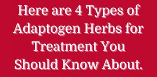 Here are 4 Types of Adaptogen Herbs for Treatment You Should Know About.