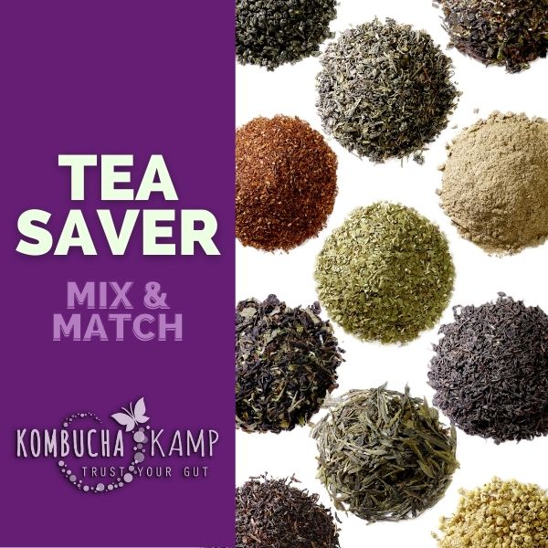 Kombucha Kamp Organic Tea Saver Pack