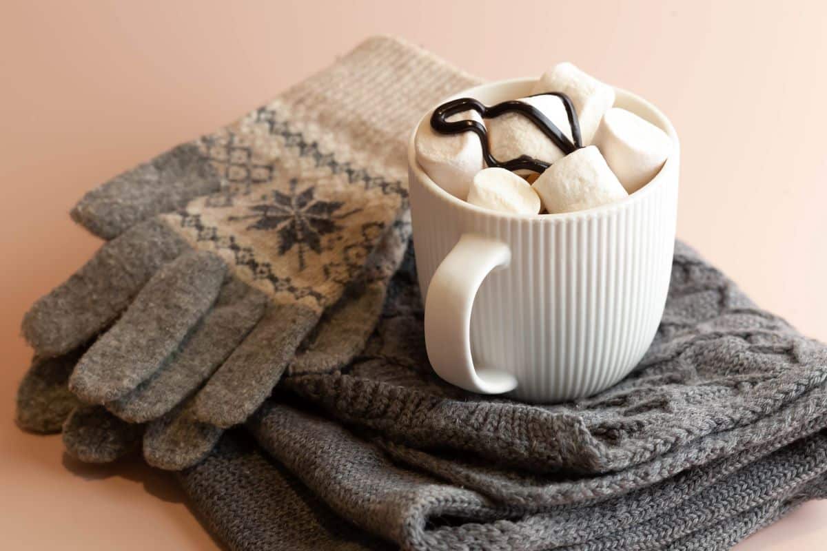 Embracing the Chill Your Ultimate Guide to Getting the Coziest Winter Ever