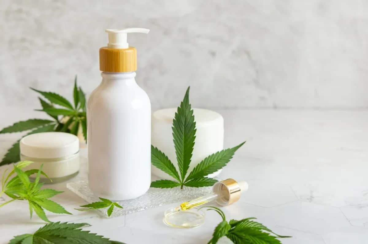 10 Best CBD Pain Relief Creams Which is right for you