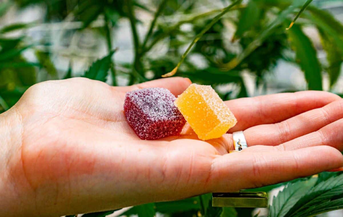 CBD Gummies for Anxiety and depression
