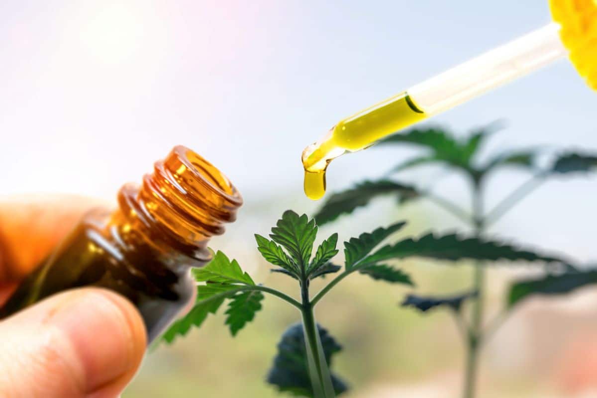 Exploring The Potential Benefits Of CBD In Reducing Tension
