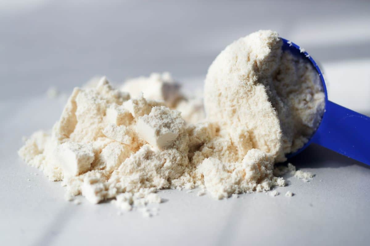 How High-Impact Whey Protein Can Help Counter Age-Related Muscle Loss