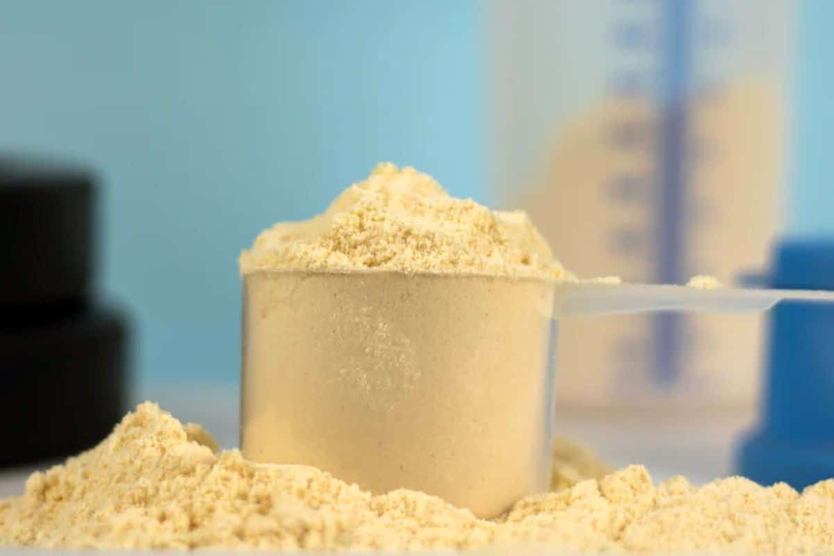 Navigating The Gluten-Free Protein Powder in Market: Finding High-Quality Options