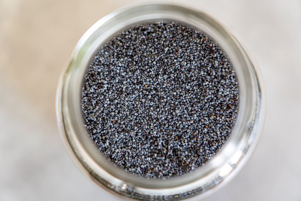 Exploring The Potential Side Effects Of Eating Chia Seeds