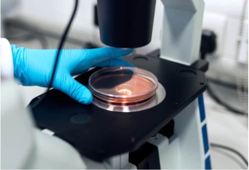 Biopsy 1