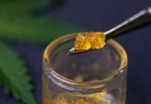 CBD Concentrates: Unlock The Benefits Of Cannabidiol Extracts CBD Concentrates: Unlock The Benefits Of Cannabidiol Extracts