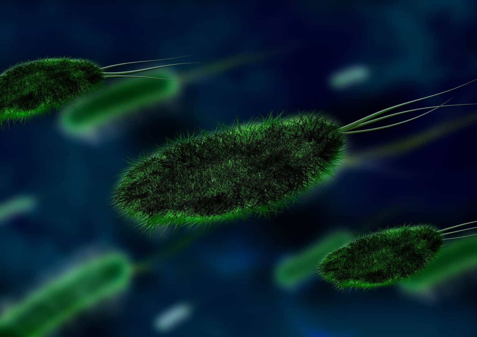 Where Does the Biggest Cause of Rheumatoid Arthritis Hide? 1 Cause of rheumatoid arthritis
