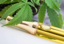 Discover The Benefits Of Using CBD Pens For Relaxation And Stress Relief CBD Pens For Relaxation