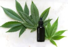Does CBD Lube Do Anything? Does CBD Lube Do Anything