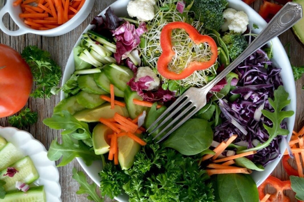 Dr. Steven Gundry: An Expert's Review Of His Unique Approach To Health And Wellness