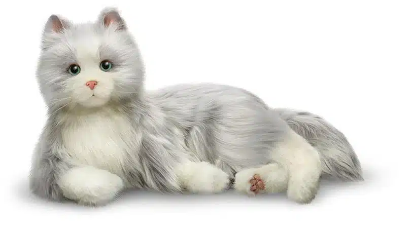 Best Holiday Gift Guide For Older Adults 13 joy for all pet cat companion