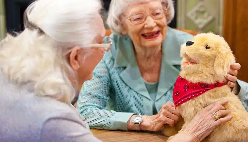 Elder Abuse: Expectations vs Reality 1 joy for all companion pet pup