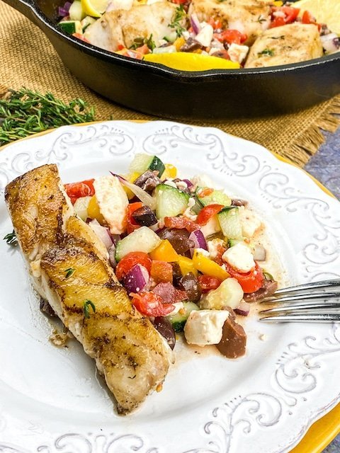 MediterraneanGrouper_vertical2