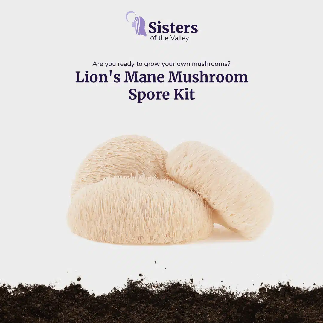 The Perfect Mothers' Day Gifts For Seniors: Show Appreciation In Style 5 The Sisters of the Valley Lion's Mane Mushroom Spore Kit