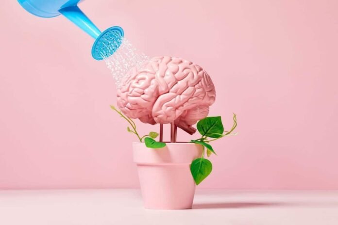 Unlock Your Full Potential With Alphabrain 5 Brain Boosting Strategies