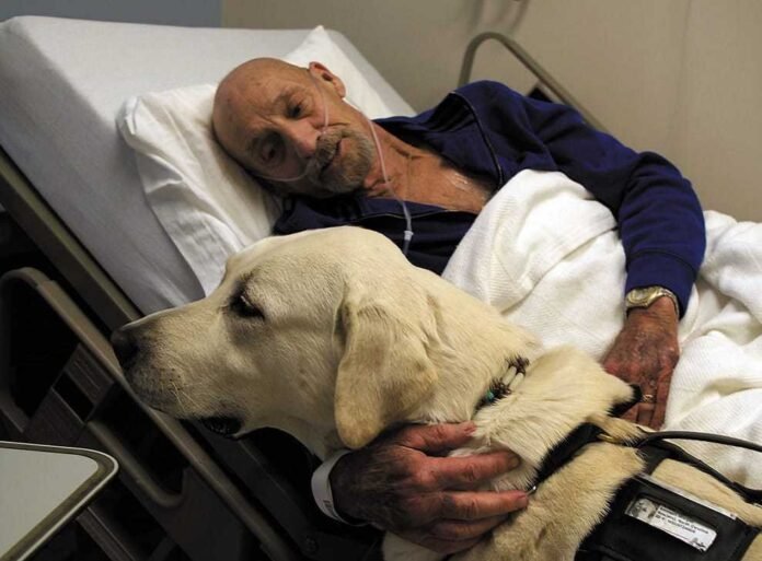 does-medicare-cover-cancer-treatment.