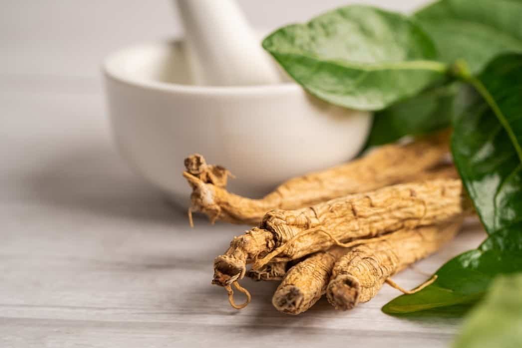 ginseng dried vegetable herb healthy food famous export food in korea country t20 02AX29