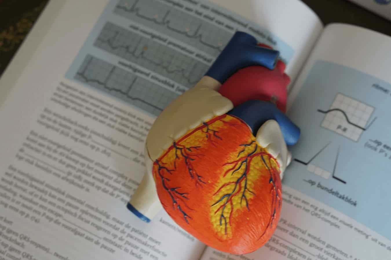 heart disease 1