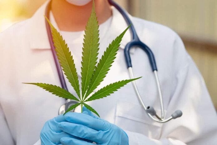 How Your Endocannabinoid System Can Help inflammation