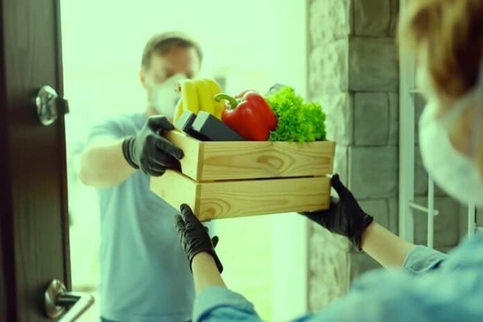 plant based meal delivery