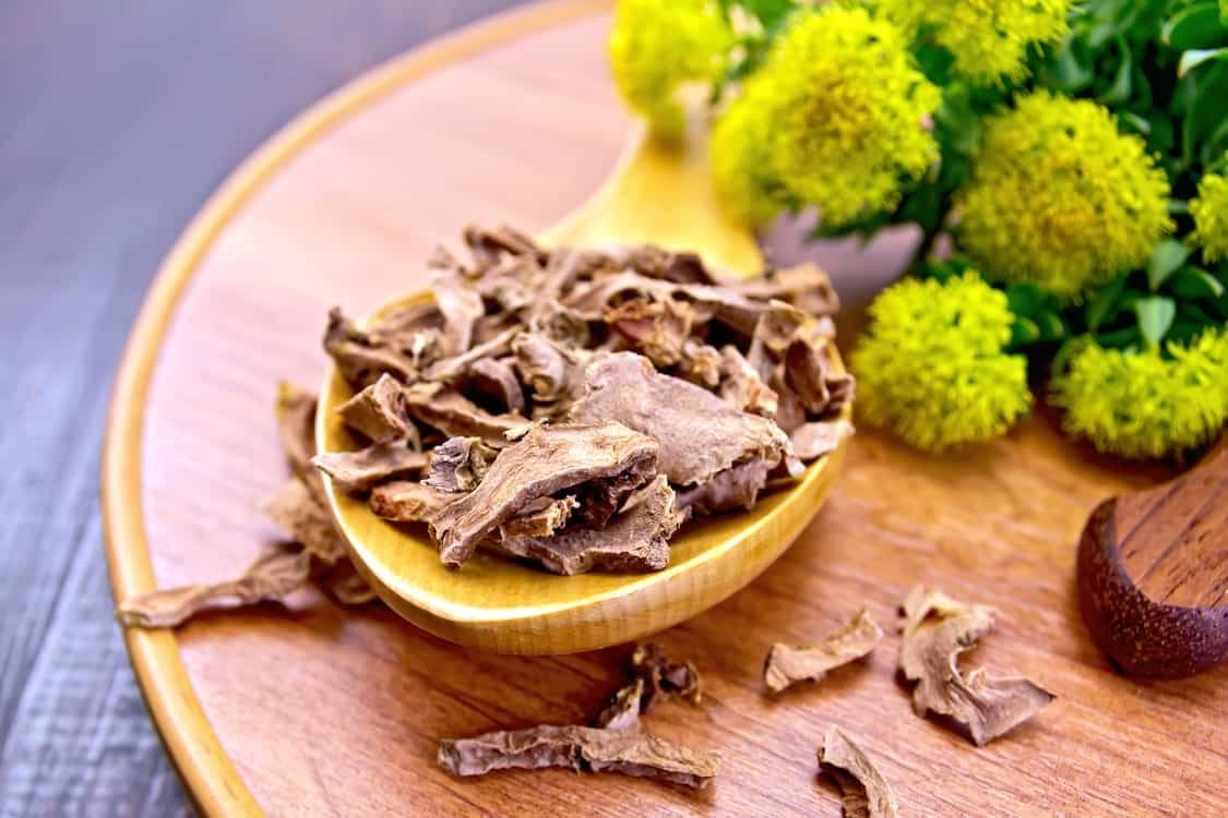 root dry of rhodiola rosea in spoon on tray 2021 08 27 21 14 41 utc