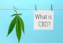 DeMystifying CBD with Dr. Trinh: Answers Frequently Asked Questions what is cbd