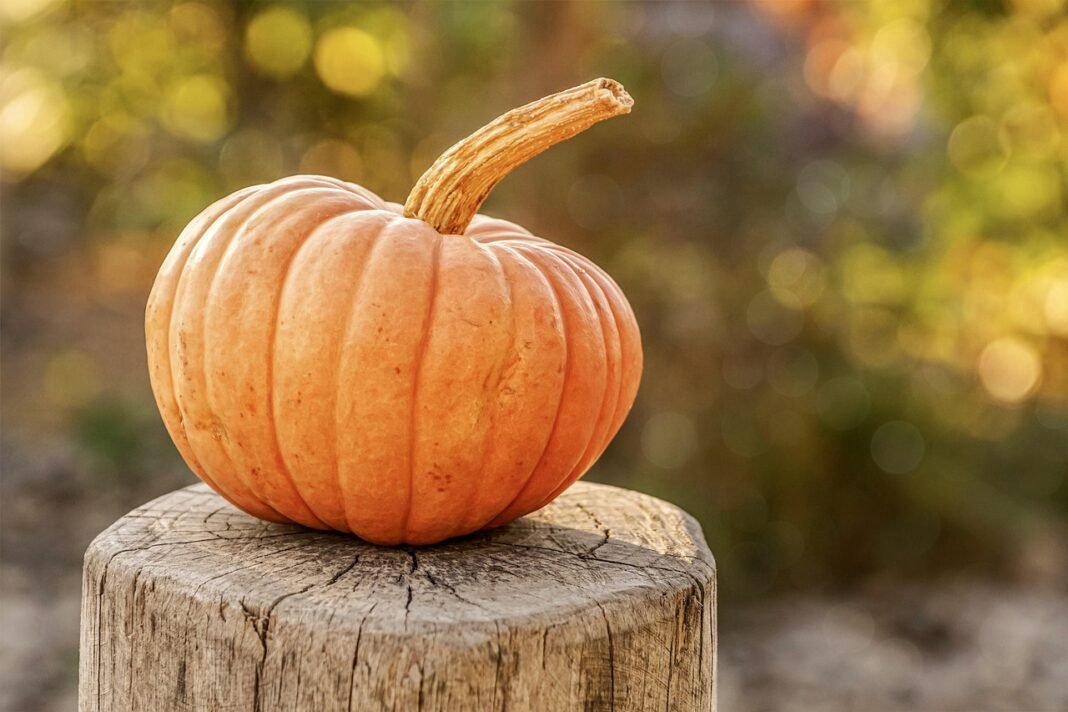 Fall Bucket List: Best Activities for Active Older Adults