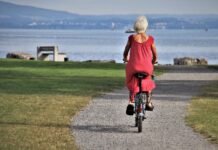 Managing Holiday Stress & Loneliness: A Guide for Seniors and Caregivers Managing Holiday Stress & Loneliness: A Guide for Seniors and Caregivers