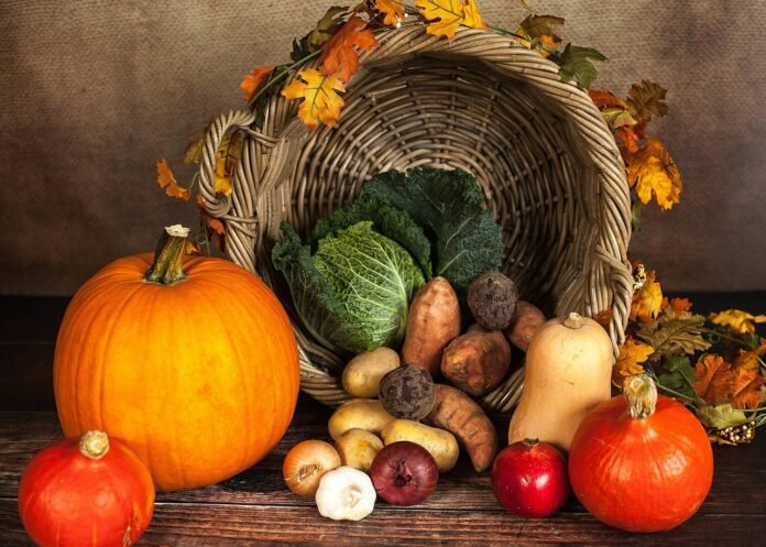 Thanksgiving Hosting Guide for Seniors- Easier Safer Less Stressful Thanksgiving Hosting Guide for Seniors: Easier, Safer, Less Stressful