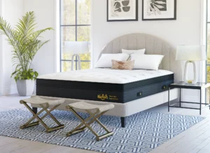 Best Mattresses for Seniors in 2026 3 Nolah Sleep - Evolution Mattress